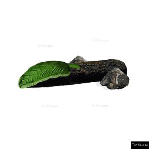 55_0_additional image.jpg image